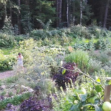 La Terre Du Coin